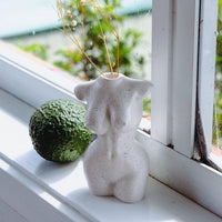 *PRE-ORDER* Siena Body Vase - White Vase Morandi Home