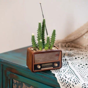 Antique Pot - Radio Pots Morandi Homeware 